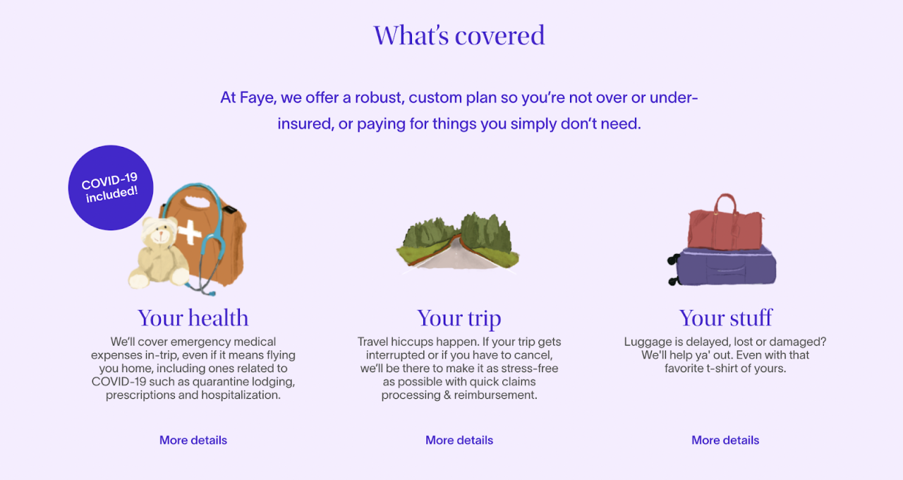 Faye insurance