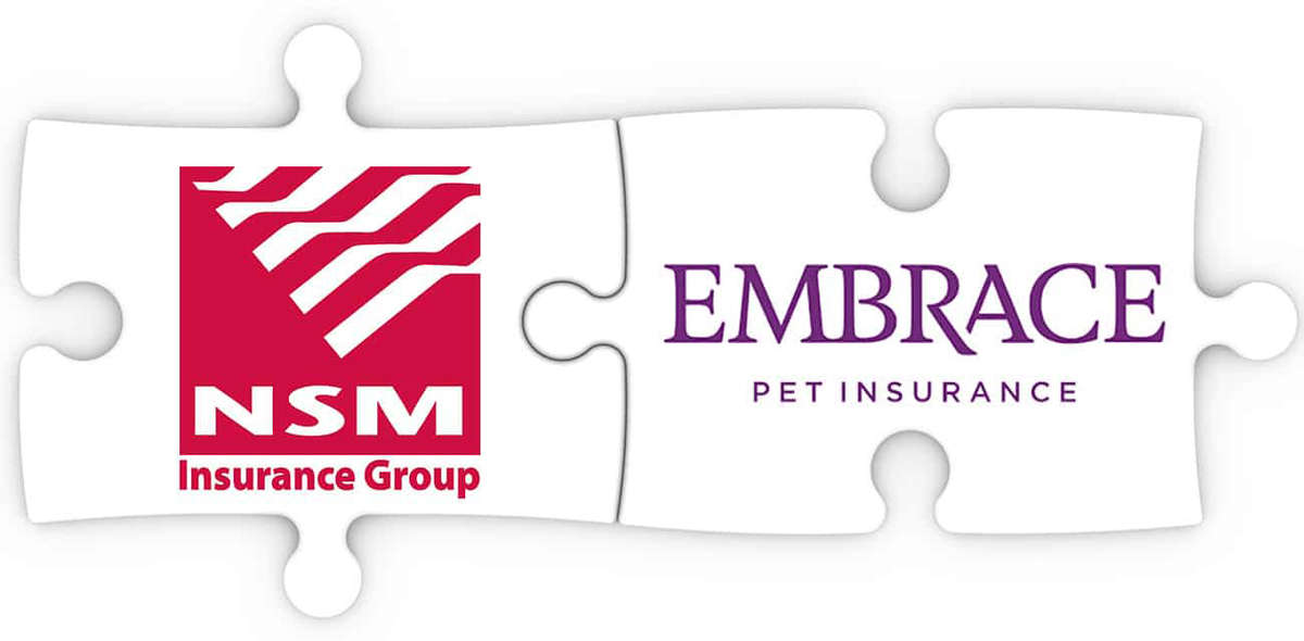 Nsm insurance