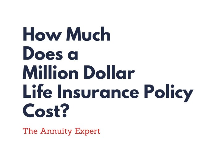 Insurance dollar afford